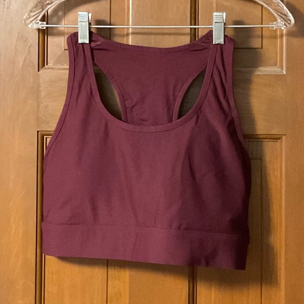Fabletics On-The-Go Medium Impact Sports Bra Burgandy size L New Never Worn